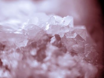 close-up