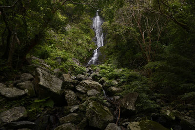 View of waterfall in forest