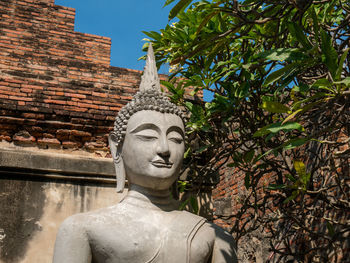 Statue of buddha against trees