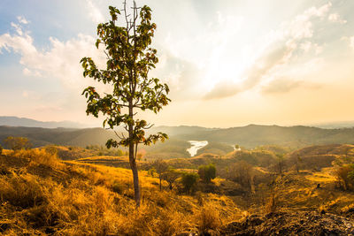 Scenic view of landscape against sky during sunset