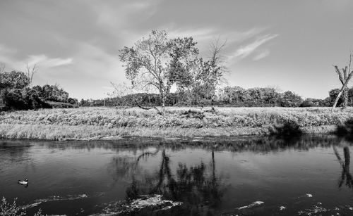 Scenic view of lake by trees against sky