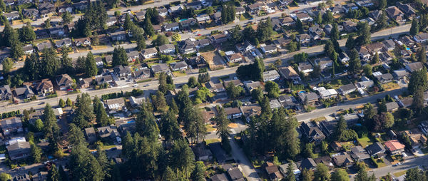 High angle view of trees and buildings in town