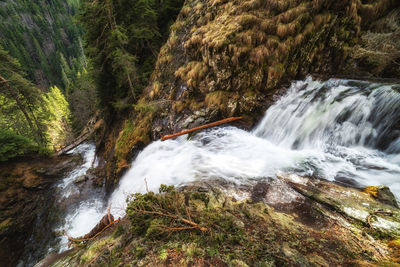 Scenic view of waterfall in forest