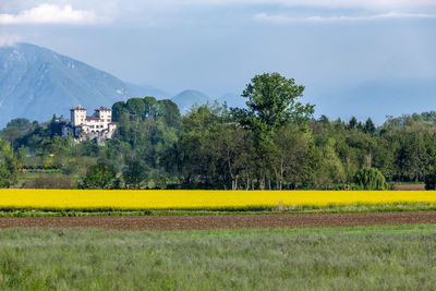 Scenic view of field against sky