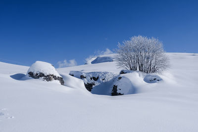 Scenic view of snow covered field against clear blue sky