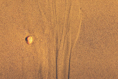 High angle view of ball on sand