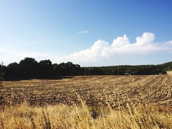 Hay bales on field against sky