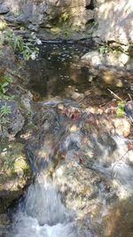 Scenic view of waterfall