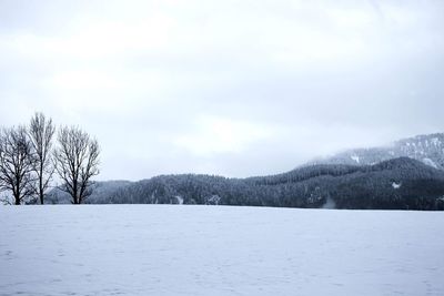 Scenic view of landscape against sky during winter