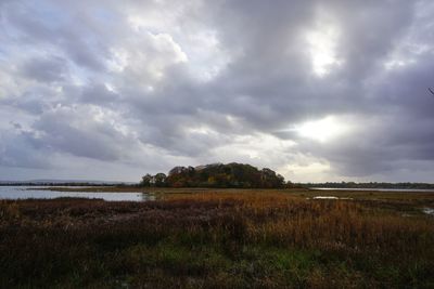 Scenic view of field against sky