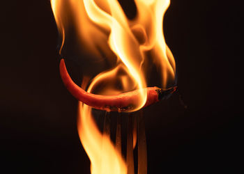 Close-up of fire against black background