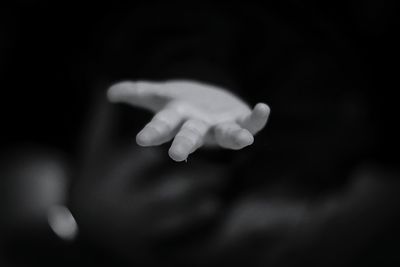 Close-up of hand holding leaf against black background