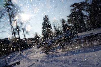 View of snow covered landscape