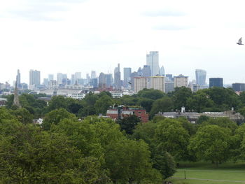 Trees and buildings in city against sky