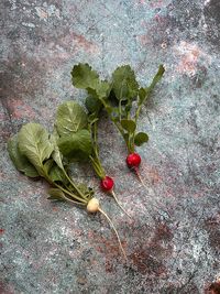 Close-up of cherry tomatoes