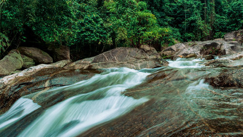 Stream flowing through rocks in forest