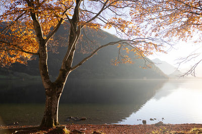 Autumn landscape. beautiful lake in the mountain scenery. austrian alps