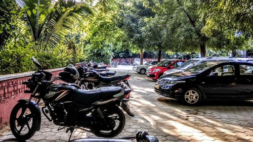 Bicycles parked on tree