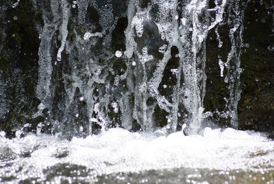 Close-up of waterfall against trees in winter
