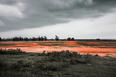Scenic view of field against sky