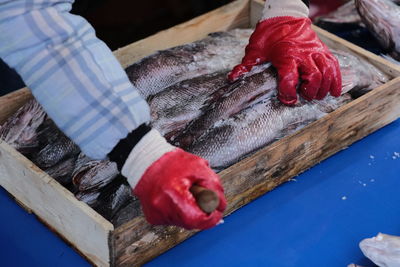 High angle view of person holding fish on wood