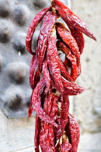 Close-up of rope tied on metal