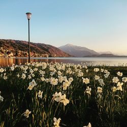 Scenic view of lake against sky