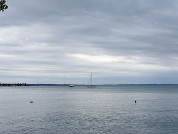 Sailboat in sea against sky