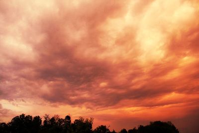 Low angle view of silhouette trees against dramatic sky