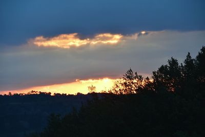 Silhouette plants against dramatic sky during sunset