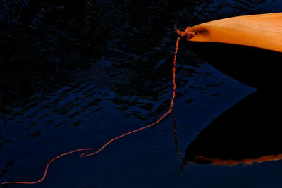 High angle view of woman hand by lake