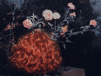 High angle view of red flowering plants