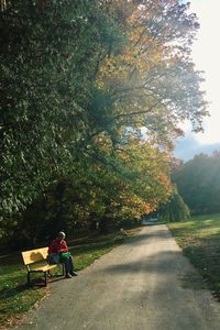 Rear view of woman sitting on road amidst trees