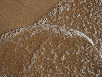 High angle view of wet sand