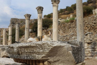 View of a temple