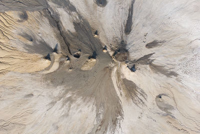 High angle view of tree trunk
