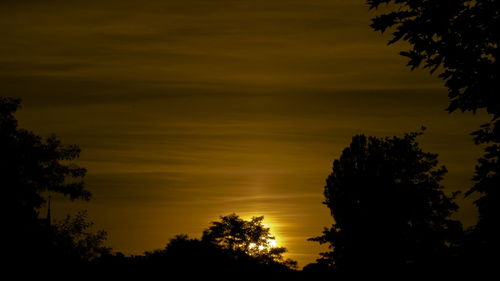 Low angle view of silhouette trees against orange sky
