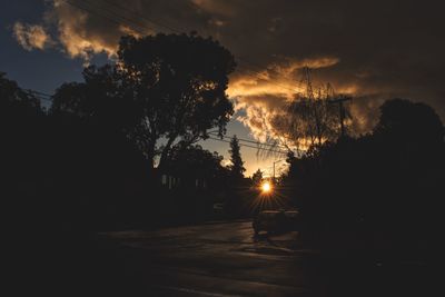 Silhouette trees against sky at sunset