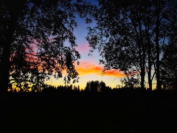 Silhouette trees against sky during sunset