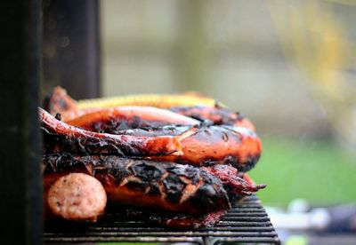 Close-up of crab on barbecue grill