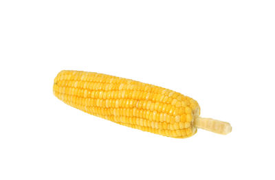 Close-up of lemon slice against white background