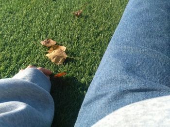 Low section of person on grass