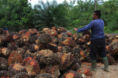 Full length of man working at farm