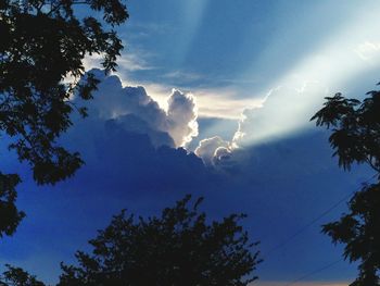 Low angle view of trees against cloudy sky