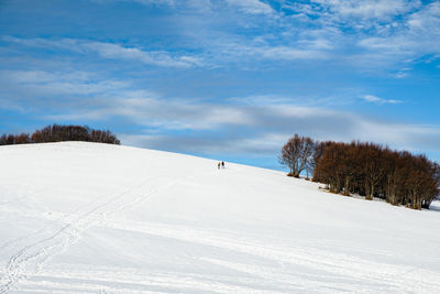 Snow covered land against sky