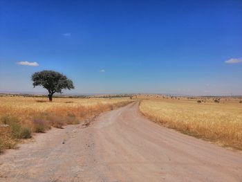 Dirt road amidst field against blue sky