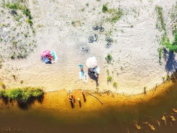 High angle view of people by plants