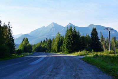 Road amidst trees against sky