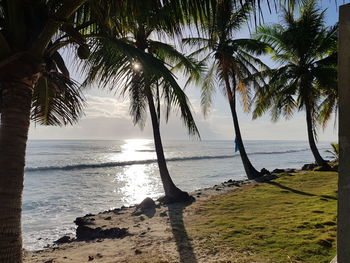 Palm trees by sea against sky