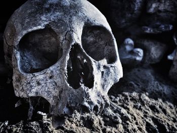 Close-up of human skull